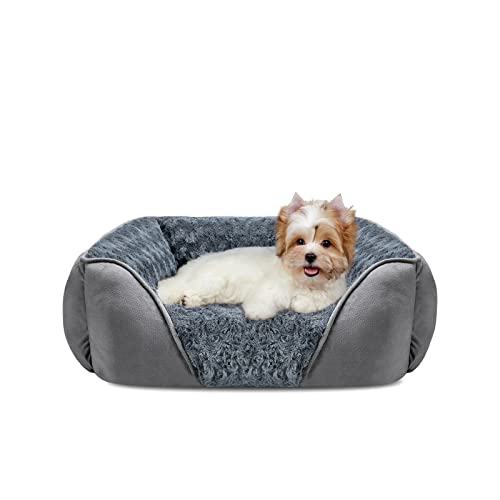 Small Dog Bed for Large Medium Small Dogs Rectangle Washable Dog Bed, Orthoped - Canlaa