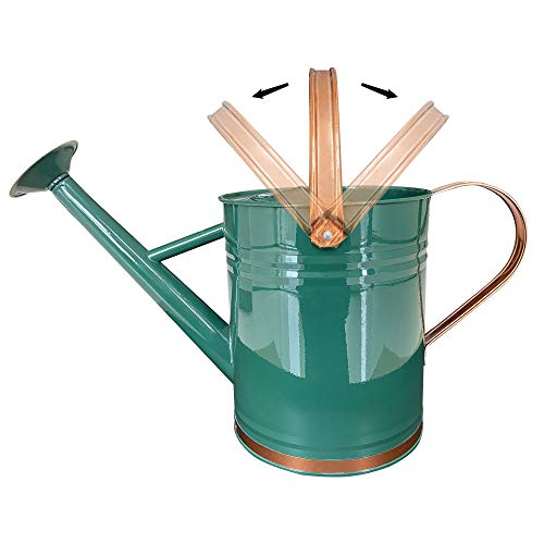 Metal Watering Can for Outdoor and Indoor Plants, Watering Can Decor, 1 Gallon (1 Gallon Green2) - Canlaa