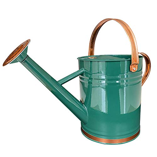 Metal Watering Can for Outdoor and Indoor Plants, Watering Can Decor, 1 Gallon (1 Gallon Green2) - Canlaa