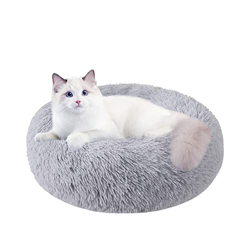 Cat Beds for Indoor Cats,20/24 Inch Dog Bed for Small Melium Large Dogs, Washable - Canlaa