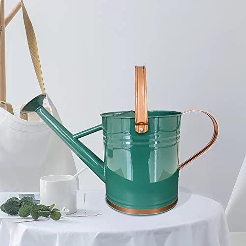 Metal Watering Can for Outdoor and Indoor Plants, Watering Can Decor, 1 Gallon (1 Gallon Green2) - Canlaa