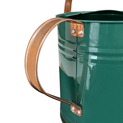 Metal Watering Can for Outdoor and Indoor Plants, Watering Can Decor, 1 Gallon (1 Gallon Green2) - Canlaa