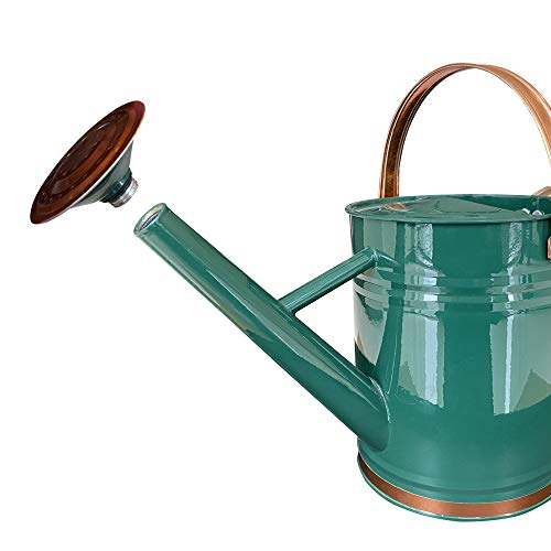 Metal Watering Can for Outdoor and Indoor Plants, Watering Can Decor, 1 Gallon (1 Gallon Green2) - Canlaa