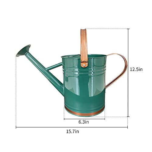 Metal Watering Can for Outdoor and Indoor Plants, Watering Can Decor, 1 Gallon (1 Gallon Green2) - Canlaa