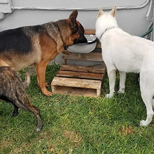 Automatic Waterer Update with Drain Hole, Cow Drinking Water Bowl with Pipe Hose - Canlaa