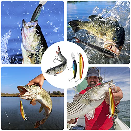 Fishing Lures Tackle Box Bass Fishing Kit Including Animated Lure,Crankbaits,Spinnerbaits,Soft Plastic Worms, Jigs,Topwater Lures,Hooks,Saltwater & Freshwater Fishing Gear Kit for Bass,Trout, Salmon. - Canlaa