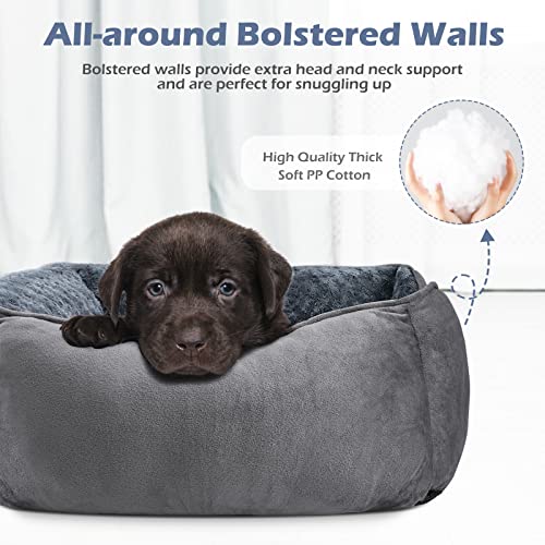 Small Dog Bed for Large Medium Small Dogs Rectangle Washable Dog Bed, Orthoped - Canlaa