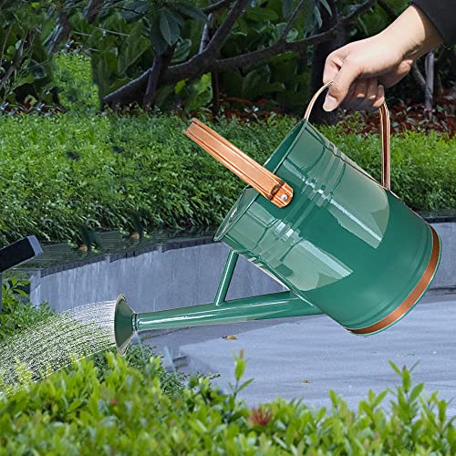 Metal Watering Can for Outdoor and Indoor Plants, Watering Can Decor, 1 Gallon (1 Gallon Green2) - Canlaa